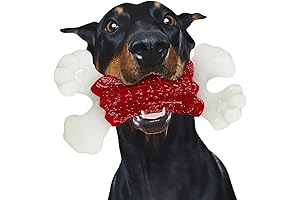 Indestructible Dog Bone: Iron-Clad Chew Toy for Unstoppable Canines