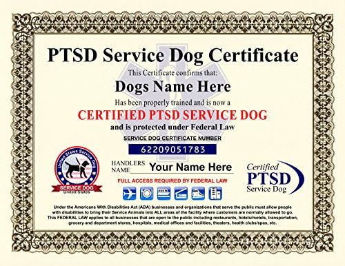 How Do You Get Your Dog Certified As A Service Dog AC SY780