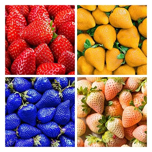 400+ Mix Strawberry Seeds for Planting - Heirloom Non-GMO Red Yellow Blue White Climbing Strawberry - Everbearing Fruit Plant Home Garden Sweet and Delicious