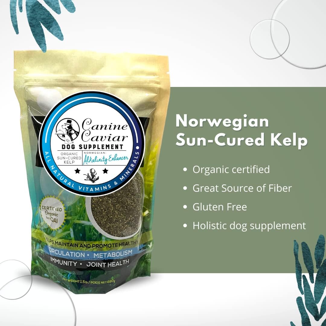 Dried Kelp Powder for Dogs - Canine Caviar Organic Norwegian Dried Kelp Supplement Powder to Improve Teeth and Gums, Circulation, Metabolism, and Joint Health, Dog Supplement (1.5 lb)