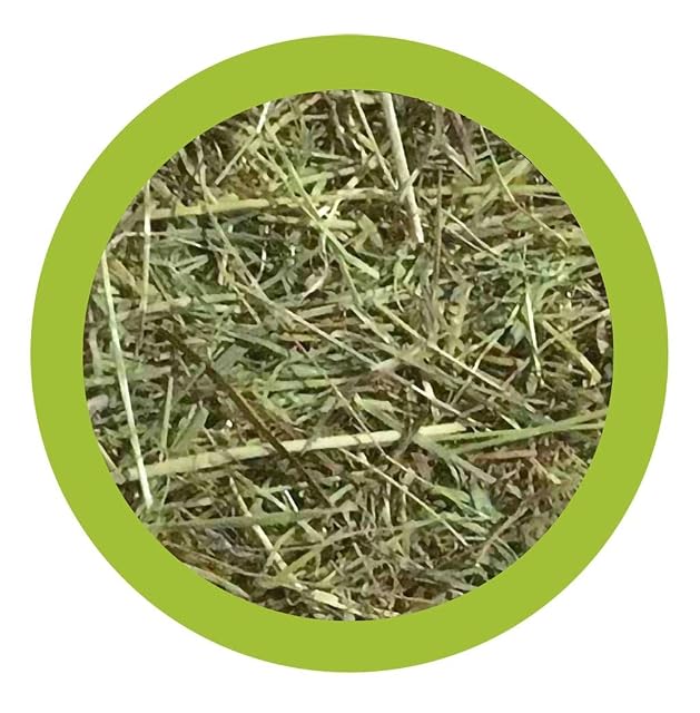Foto 2 de 2 de Paglianatura Heno Natural para Conejos y roedores, Paja de 1,3 kg, para una Dieta Sana y Natural