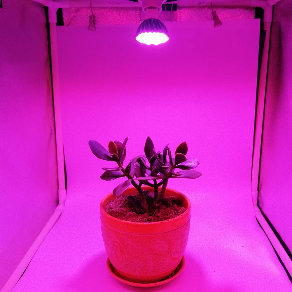 Lot de 2 ampoules de croissance de plantes 6 W, lampe de croissance à spectre complet, MR16 GU5.3 AC/DC 12 V Violet Reign Ampoule LED de croissance pour plantes