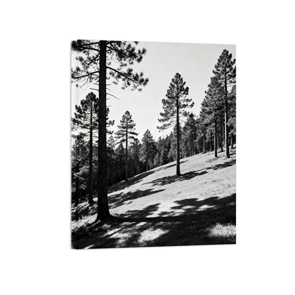OZPWBVY Tree Grassland Black White Landscape Wall Art Prints 70x90cm Framed