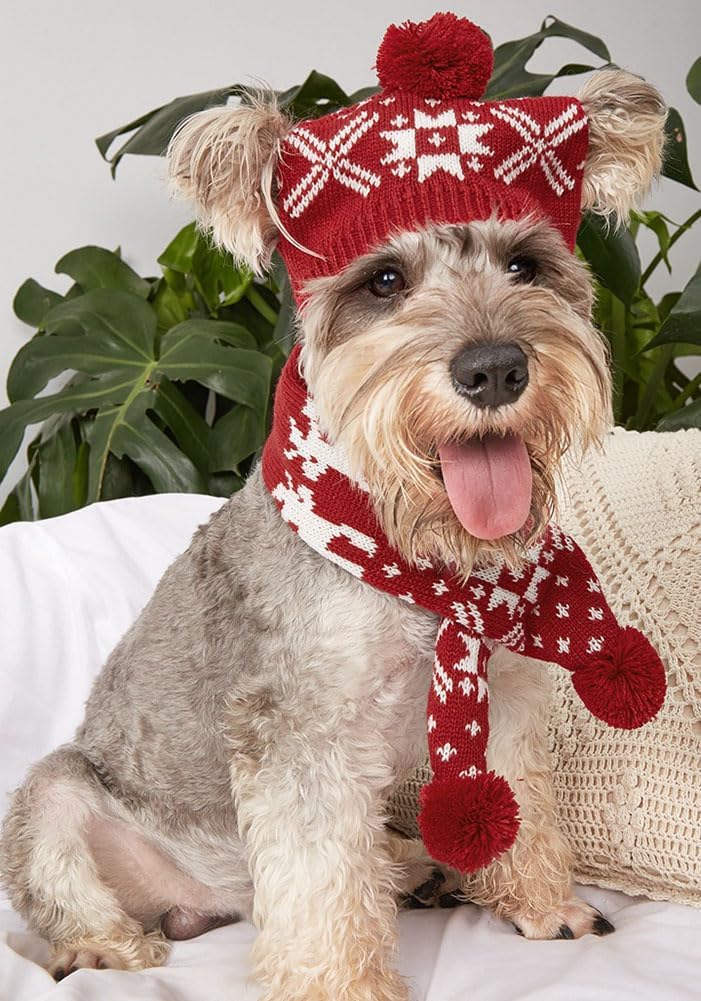 Dog Hat & Scarf Set, Knitted Pet Christmas Winter Warm Caps, Cute Accessories Neck Ear Warmer Hood for Cat and Dog, Party Decoration Fit for Small D-red Cross Small image 4