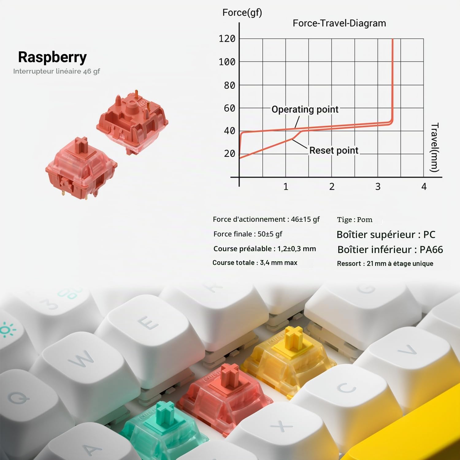 NuPhy Halo65 V2 - Clavier mécanique sans fil avec touches PBT, clavier personnalisé de jeu de 65% échangeable à chaud, compatible avec QMK/VIA, BT5.0/USB-C/2,4 GHz, Black-Raspberry Switches