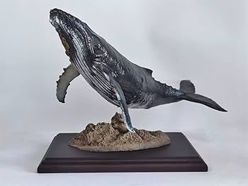Amazon | XIFU 1/35 サイズ 限定版 ザトウクジラ 座頭鯨 大きい