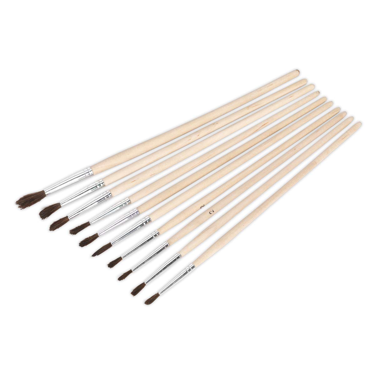 Sealey Multicolor Pb2 Touch-Up Paint Brush Assortment 10Pc Wooden Handle