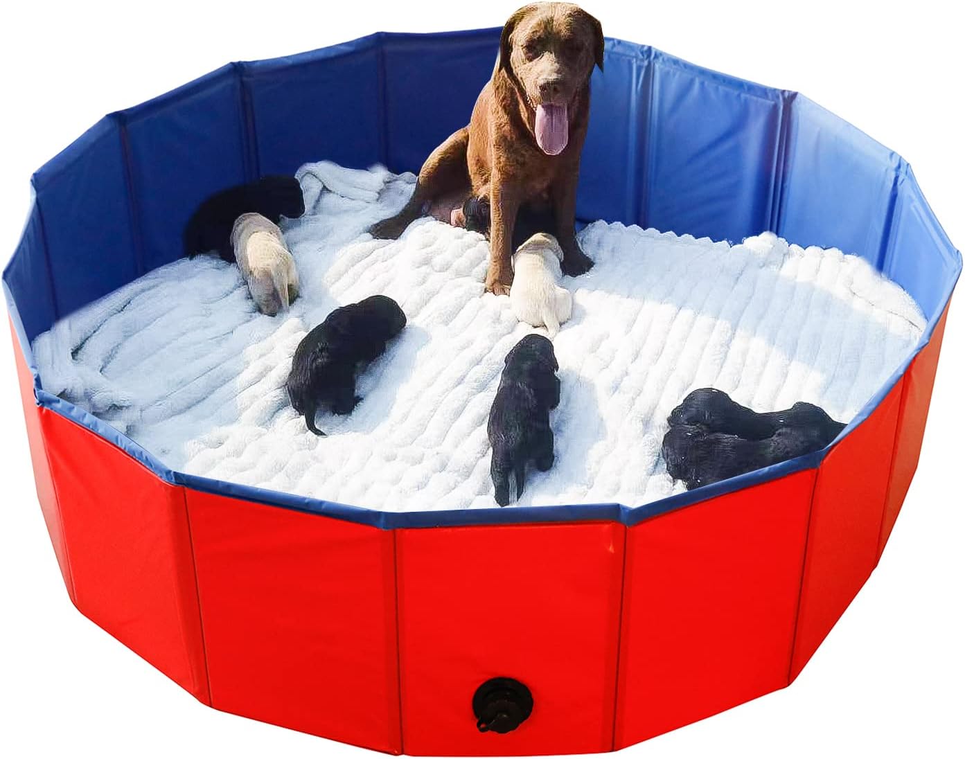 Artilife 47" Foldable Dog Pool & Whelping Box - Portable Bath Pool for Large Breeds like Labs & Goldens, Easy Clean & Store