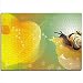 mmkow Puzzle Set 1000 Piezas Caracol Puzzle Juego Familiar 38x52