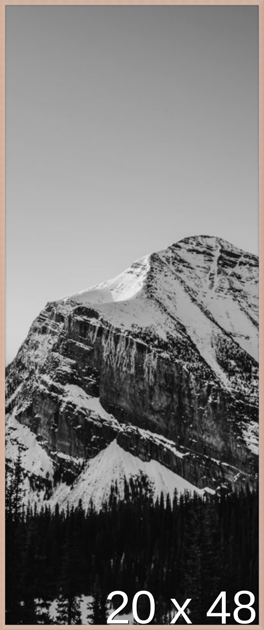 Frame It Easy 20 x 48 Rose Gold Metal Frame (Ashford)