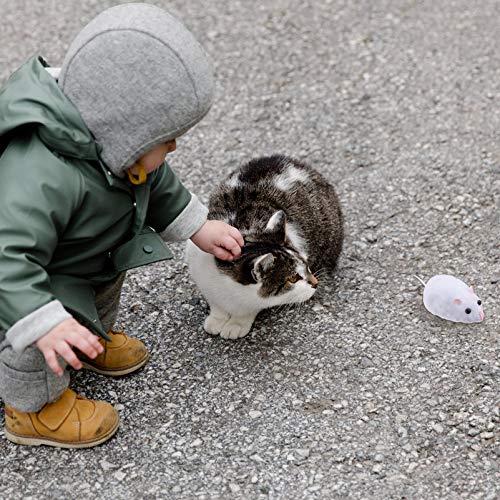 Kisangel 1 conjunto de mouse eletrônico com truques de queijo, brinquedos de perseguição, brinquedos