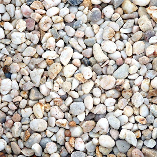 Preisvergleich Produktbild Zierkies Flusskies 8-16mm a 25 kg
