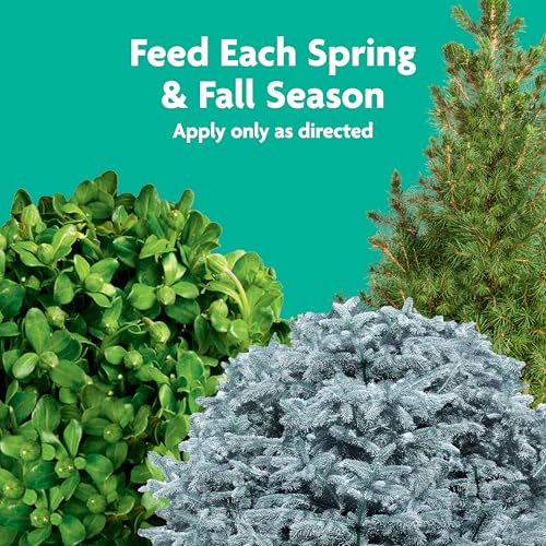 Image of Miracle-Gro Tree & Shrub Plant Food Spikes, 12 Spikes | For Deciduous, Flowering and Evergreen Trees, Hydrangeas, and Acid-Loving Plants
