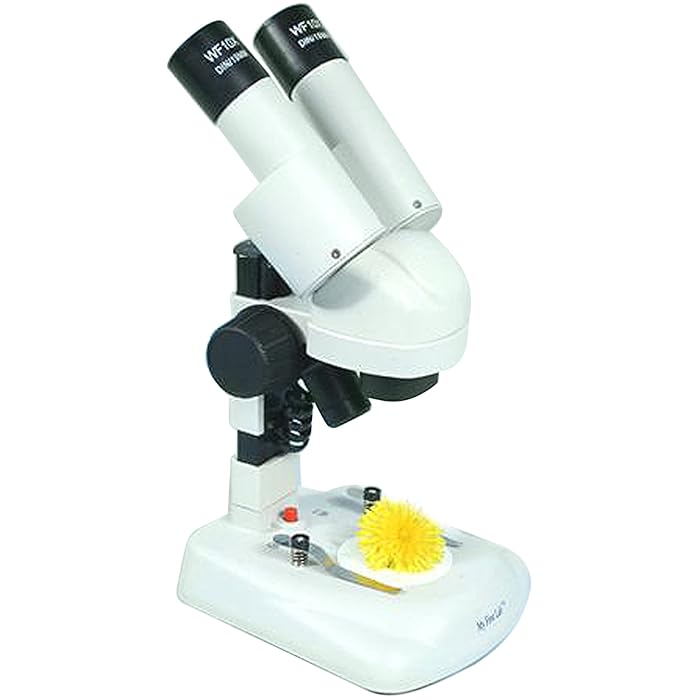 Buy My First Lab IExplore Stereo Microscope for Kids (SMD04) STEM