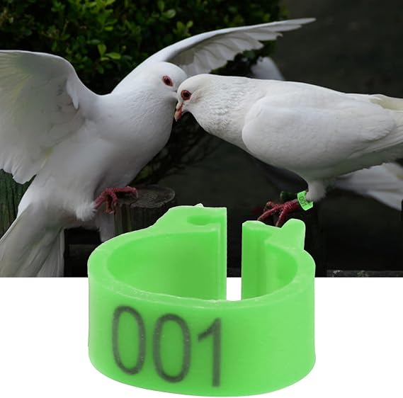 Bird Leg Bands, 6 Colors, 100Pcs/Bag, 8MM Size, Numbered 001-100, Plastic Leg Rings for Poultry, Birds, Chicks, Parrots, Pet Birds, Bird Enthusiasts, Pet Owners, Breeders