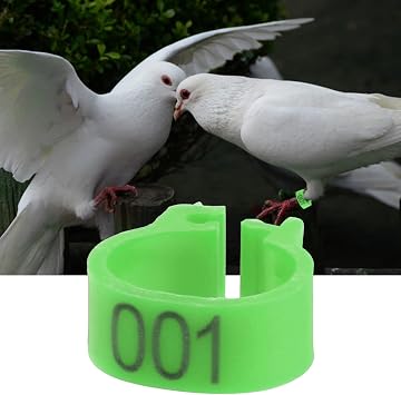 Bird Leg Bands, 6 Colors, 100Pcs/Bag, 8MM Size, Numbered 001-100, Plastic Leg Rings for Poultry, Birds, Chicks, Parrots, Pet Birds, Bird Enthusiasts, Pet Owners, Breeders
