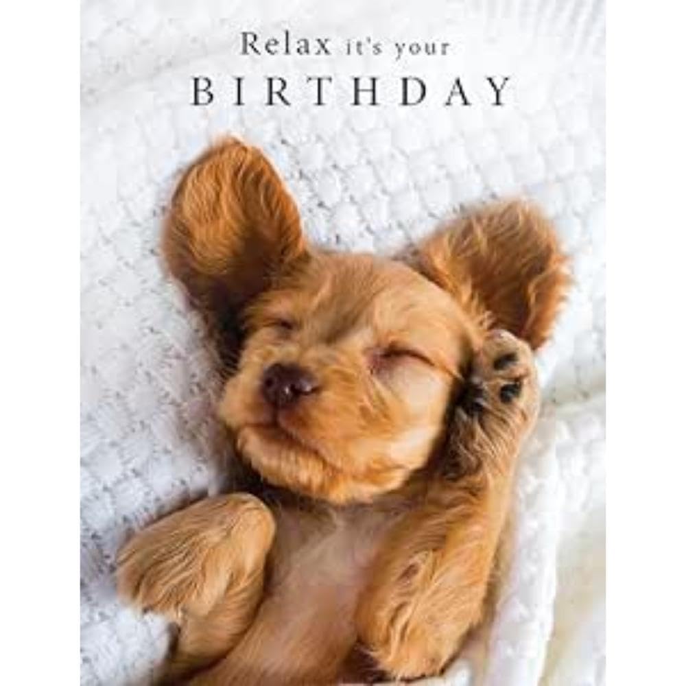 Piccadilly Greetings Relax It's Your Birthday Card Sleepy pup - 8 x 6 inches