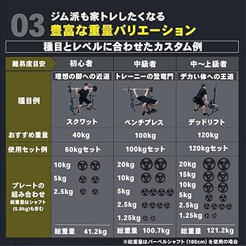 ベンチプレス　プレート100キロセット スタンド、ベンチ、プレート、シャフト ストレングスセット100K プレスベンチ + アイアンバーベル