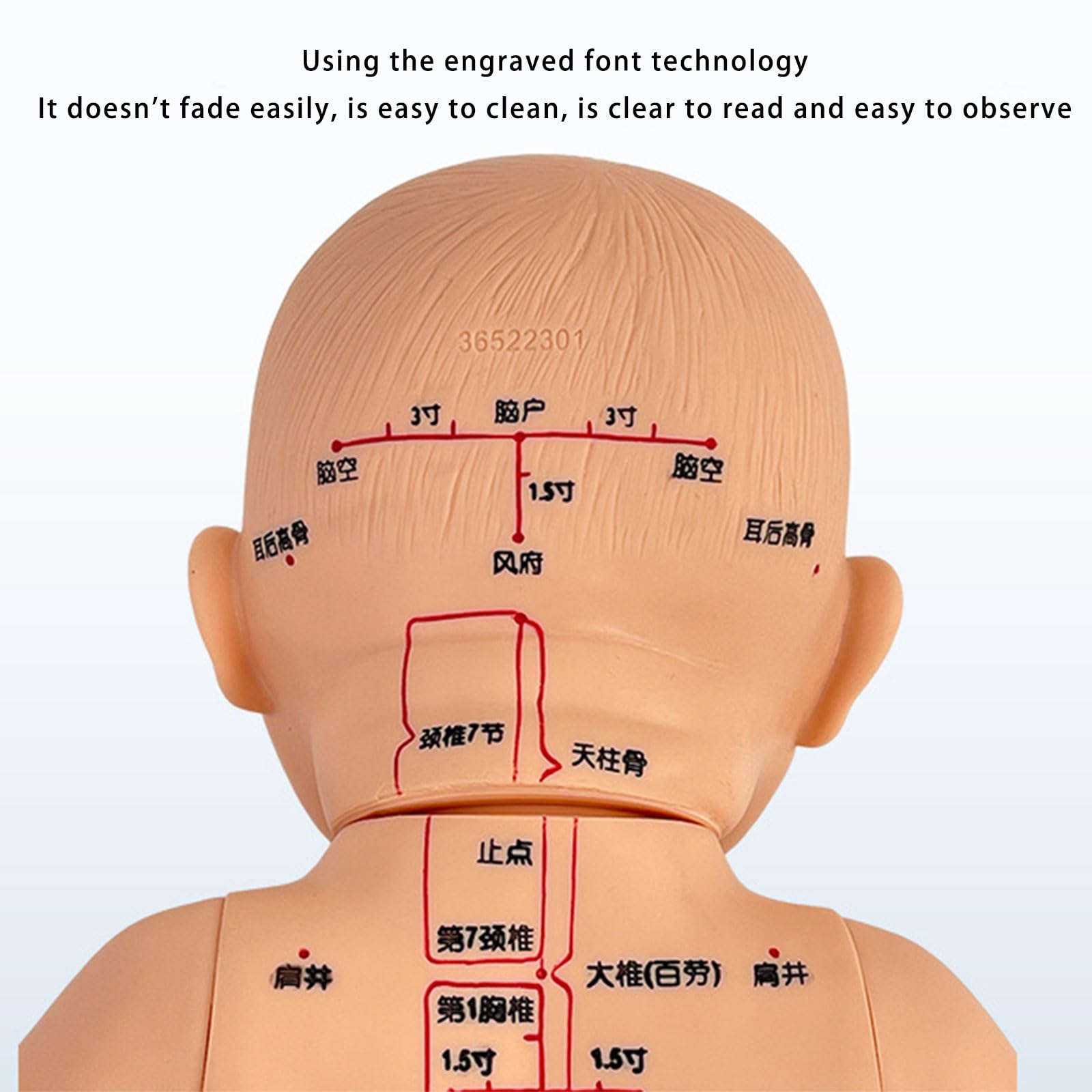 Modello di allenamento professionale per neonati con punti di agopuntura contrassegnati per la formazione nella cura dei neonati e la cura domestica, modello di massaggio pediatrico