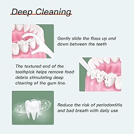 Dental Floss Picks Portable Case-20 Count Pocket-Sized Professional Flosser Dispenser-LIAMOSS Superfine Toothpicks Sticks-Best Dental Oral Care(Blue Green)