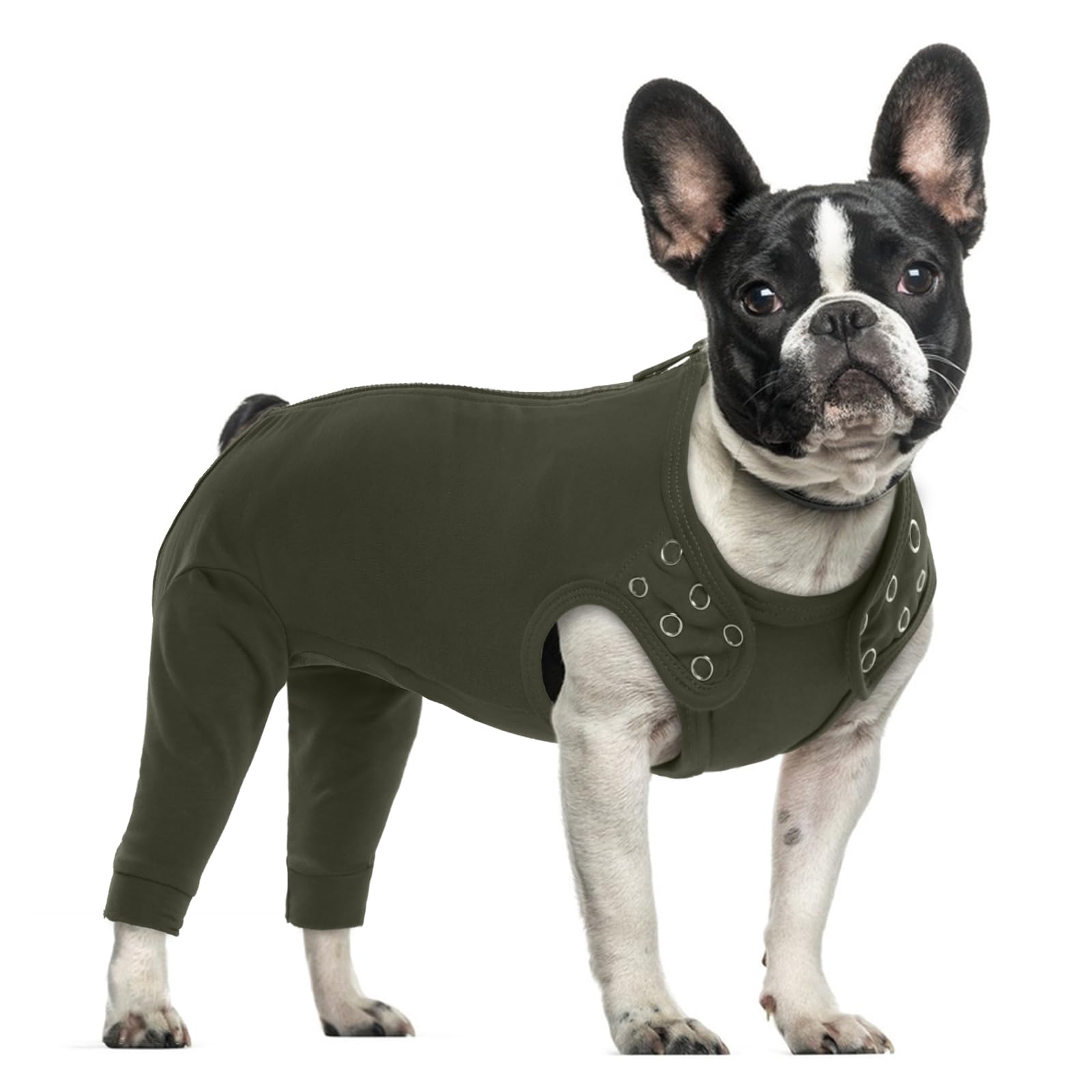 PUMYPOREITY Small Dog Recovery Suit, Elbow Brace Dog Surgical Vest Recovery Protective Sleeve Small Breed Leg Covering Prevents Pet from Licking or Biting at Their Wounds(Moss-green, S) โ image 1