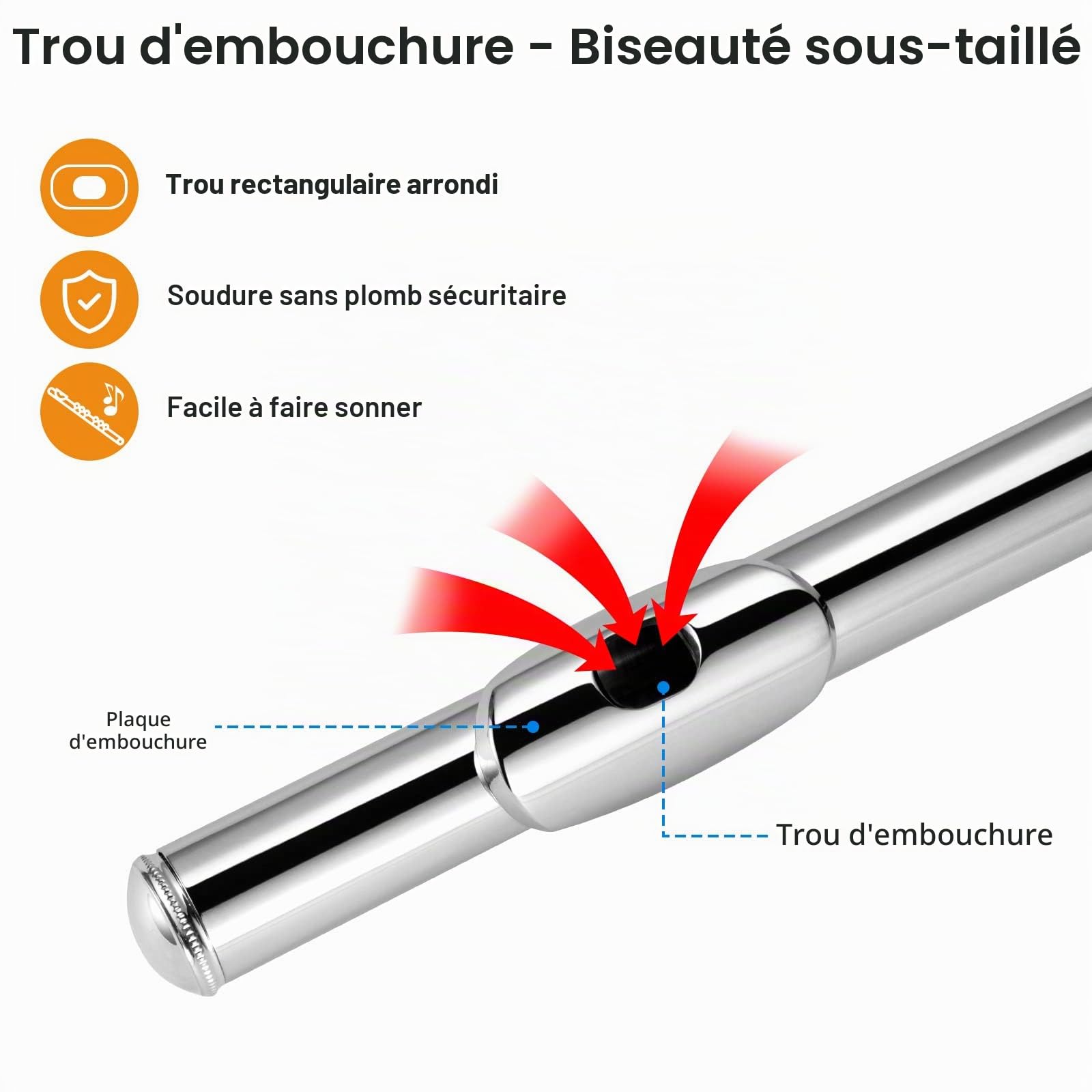 POGOLAB Flûte Traversière, Flûte C à Plateaux Ouverts, Sol Décalé, Flûte en Nickel Plaqué Argent, avec Étui Rigide/Kit de Nettoyage, pour Groupe de Musique Scolaire