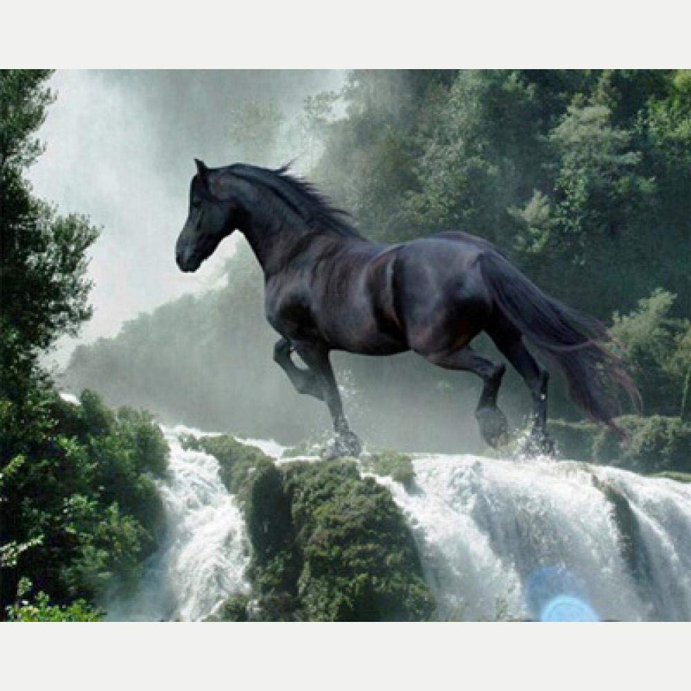 Mosaïque cascade noire peinture diamant 5D déco salon moderne