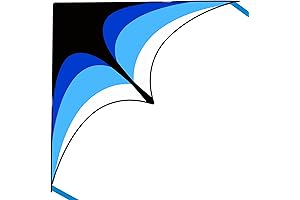 Mint's Colorful Life Delta Kite: Soar the Skies with Ease