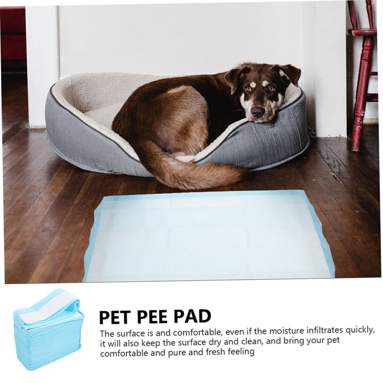 ibasenice 40 pièces Alèses Jetables pour Chien Tapis Absorbants Anti-Fuite Ultra pour Propreté Animaux