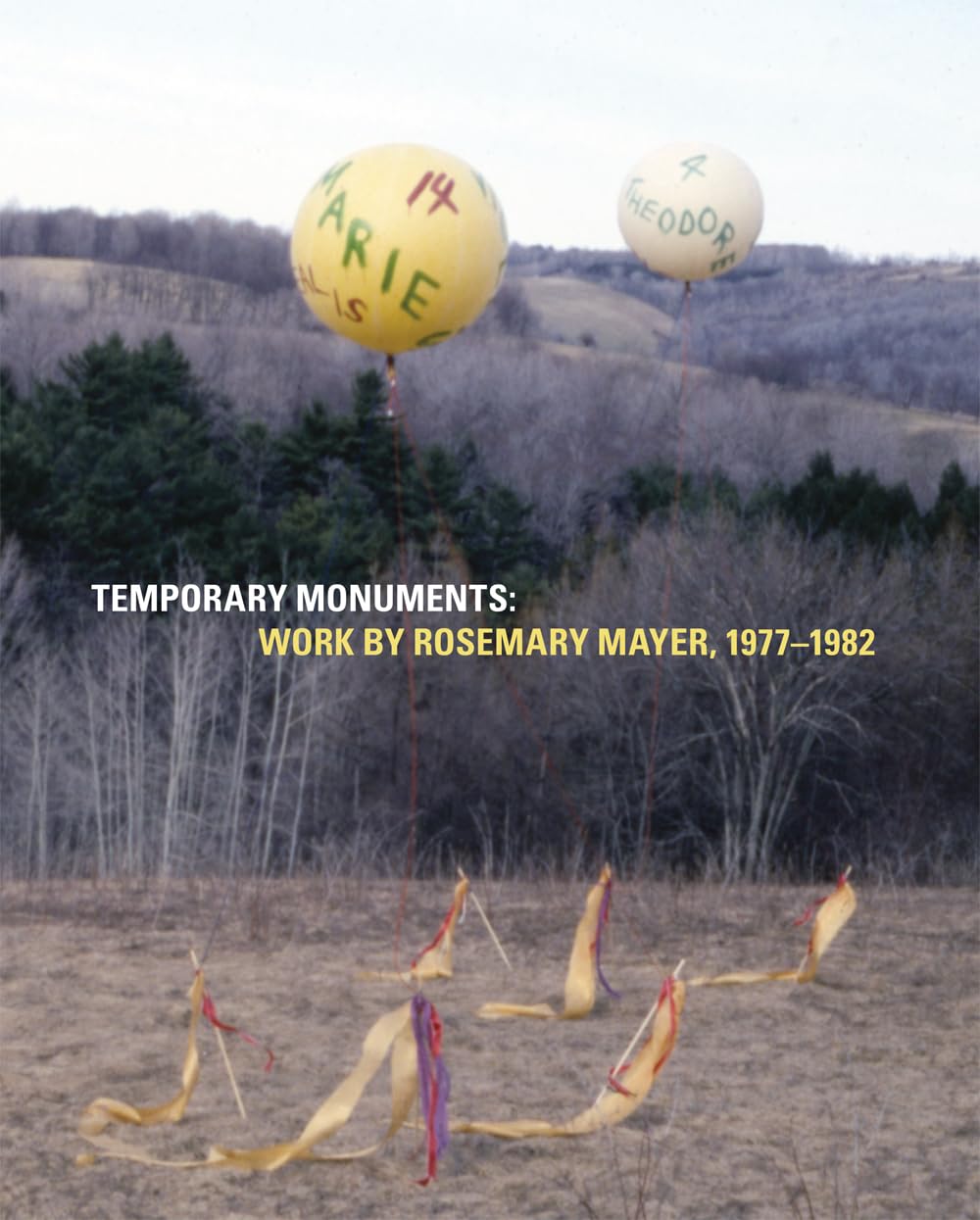 Rosemary Mayer Temporary Monuments catalogue d'art pour table basse de salon