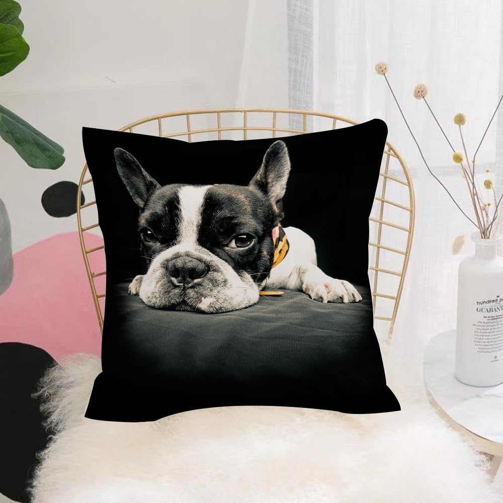 HYOSXW Cushion Cover,Throw Pillow Case Home Decorative for Living Room Bedroom Sofa Chair 16X16 Inch,French bulldog, portrait of lazy French bullfighter on black background,Pillowcase 40X40cm