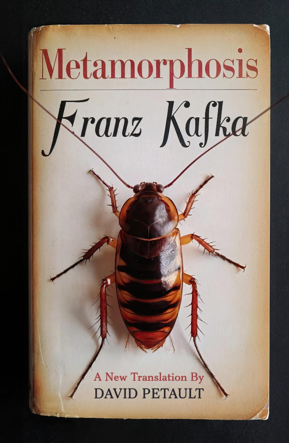 Metamorphosis: A New Translation in Modern Accessible English