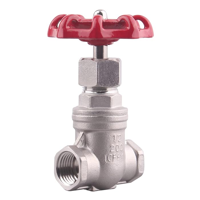 Buy GOVALVE Heavy Duty Gate Valve 1/2" NPT Stainless Steel Female x