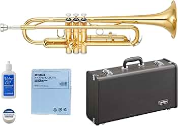 61CXLBwh5TL._AC_UF350,