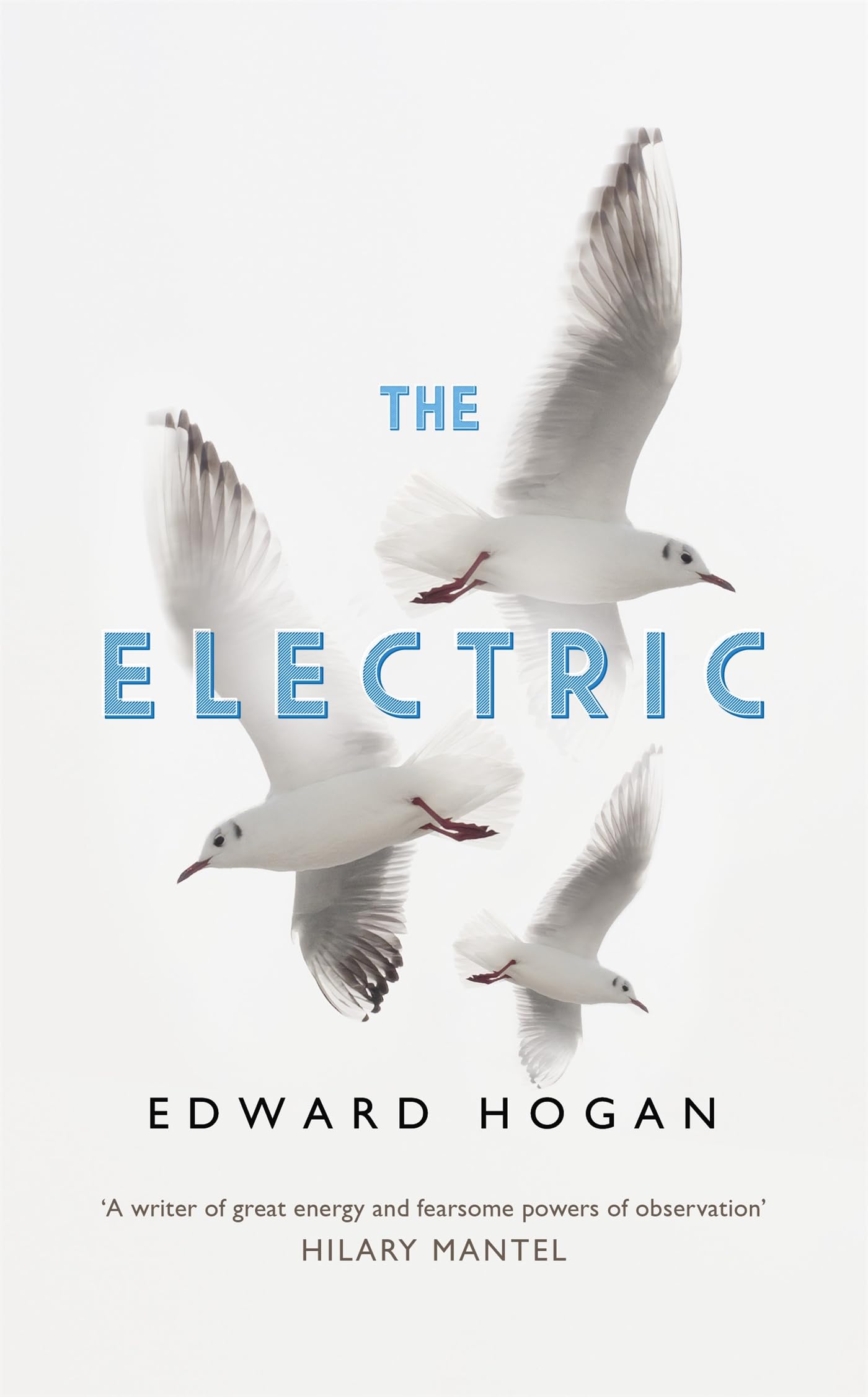 The Electric by Edward Hogan (Hardback Book)