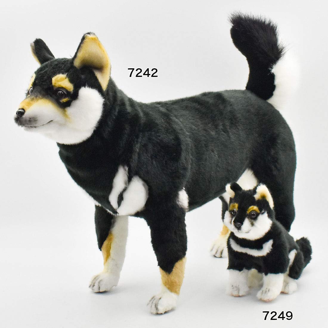 Amazon.co.jp: BH7242 HANSA クロシバ50 : おもちゃ 