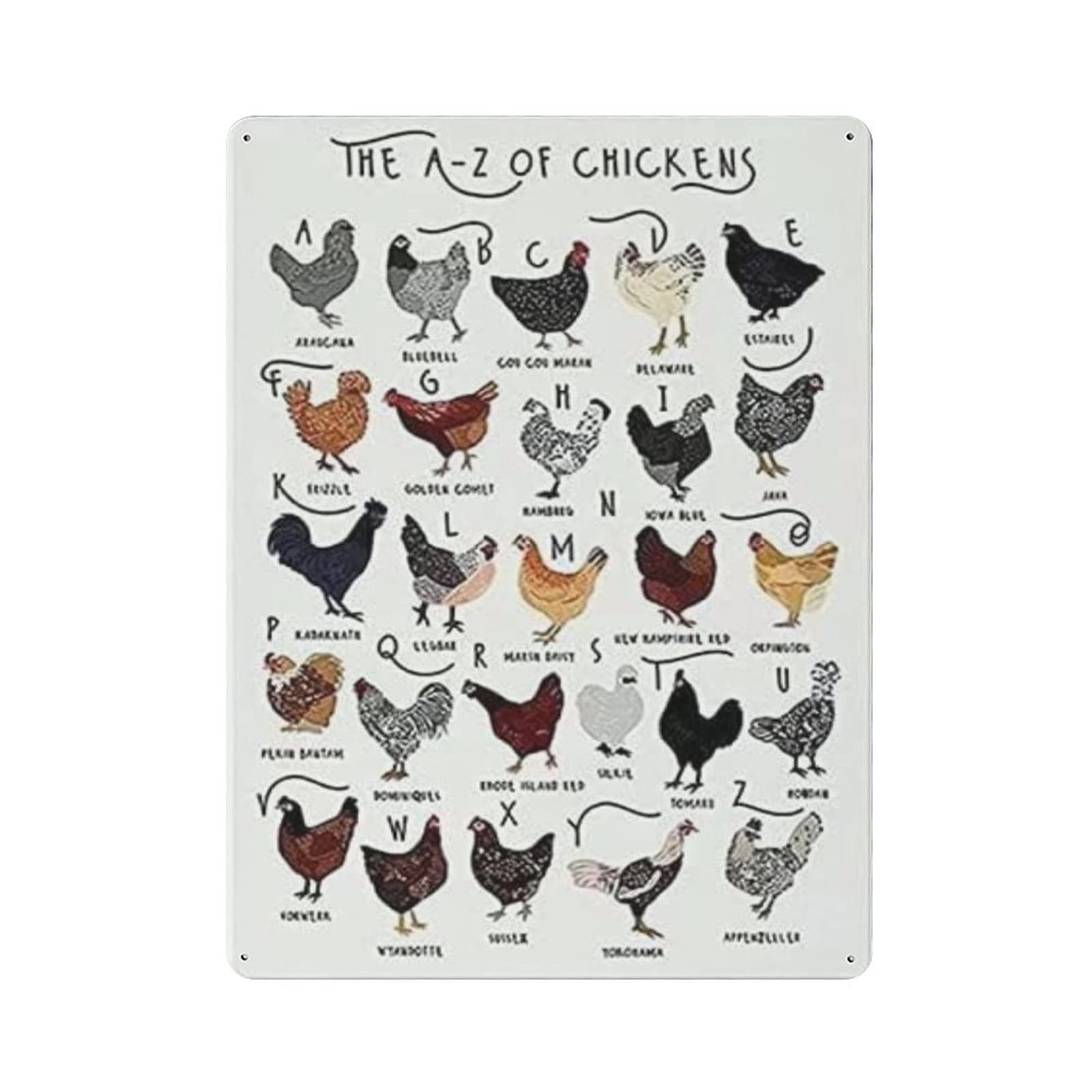 AOOEDM Chickens Knowledge Metal Signs for Garage Man Cave Bar Kitchen Coffee Tin Sign Nostalgic Wall Decor Signs Vintage Retro Poster