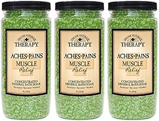 Village Naturals Therapy Aches & Pains Muscle Relief Mineral Bath Soak 20 Oz