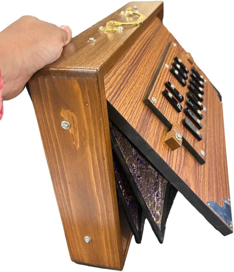 Shruti Box aus Teakholz, Musikinstrument, Strauchbox mit Tasche, gestimmt, 440 Hz, natürliche Farbe (38,1 x 25,4 x 7,6 cm)