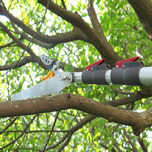 Podadora de árbol extensible con poste de sierra para ramas altas 6