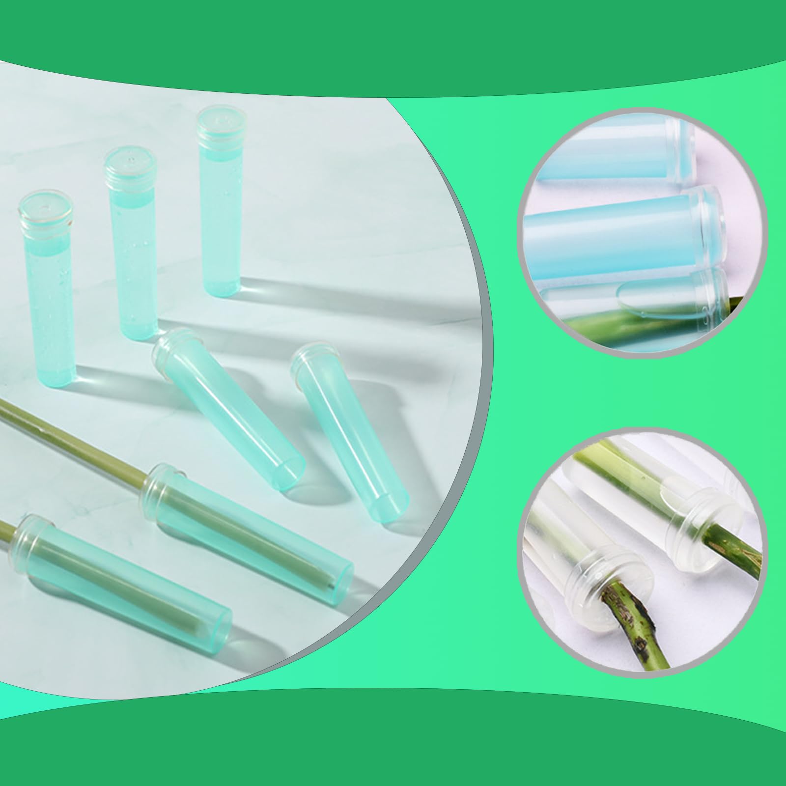 100 Pezzi Provetta per Acqua di Fiori, Tubo Fiore Trasparente, Provetta di Fiori Freschi, Utilizzato per Spostare i Fiori e Fornire Sostanze Nutritive(Plastica)