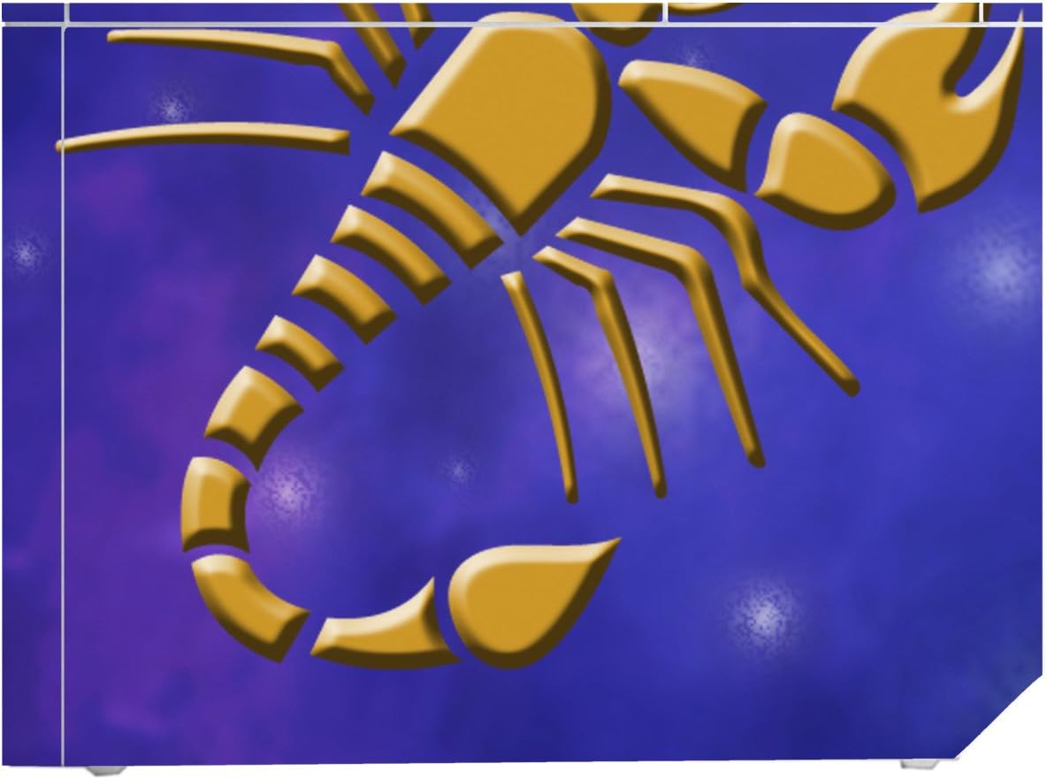 'Disagu Design Skin for Nintendo Wii liegend – Motif Sign Scorpio