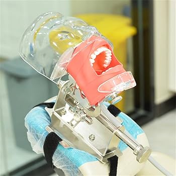 シートマスクと歯科模型セット シートマスクと歯科模型セット