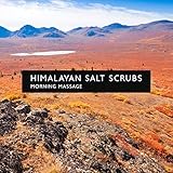  Himalayan Salt Scrubs: Morning Massage, Natural Soundscapes for Massage, Reiki Distance Healing, Beauty Salon