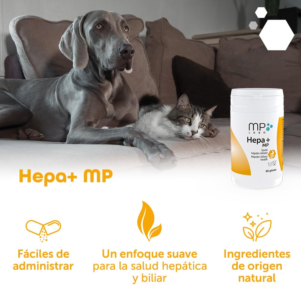 MP Labo Hepa + MP 60 cápsulas para proteger las células hepáticas y el buen funcionamiento del hígado y los conductos biliares en perros y gatos, contiene cardo mariano, ahumado y antioxidantes