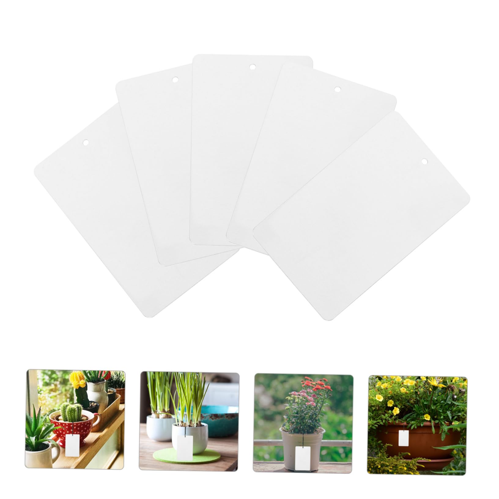 POPETPOP 200 Pcs Étiquette De Plante Étiquettes De Marquage De Plantes Étiquettes De Marqueurs De Jardin Étiquettes De es À Effet De Marqueurs De Pépinière r De e