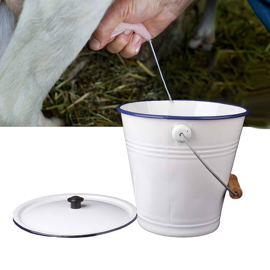 ホーローバケット Amazon｜DeeRace ホーローバケツ フタ付きバケツ 取っ手付き