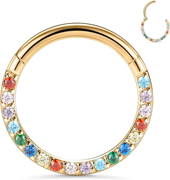 hengkaixuan 16G Nasenringe Septum Clicker 316L Chirurgisches Stahlsegment Helix Knorpel Conch Hoop Ohrringe Hoop Conch Hoop Daith Piercing Schmuck - 1