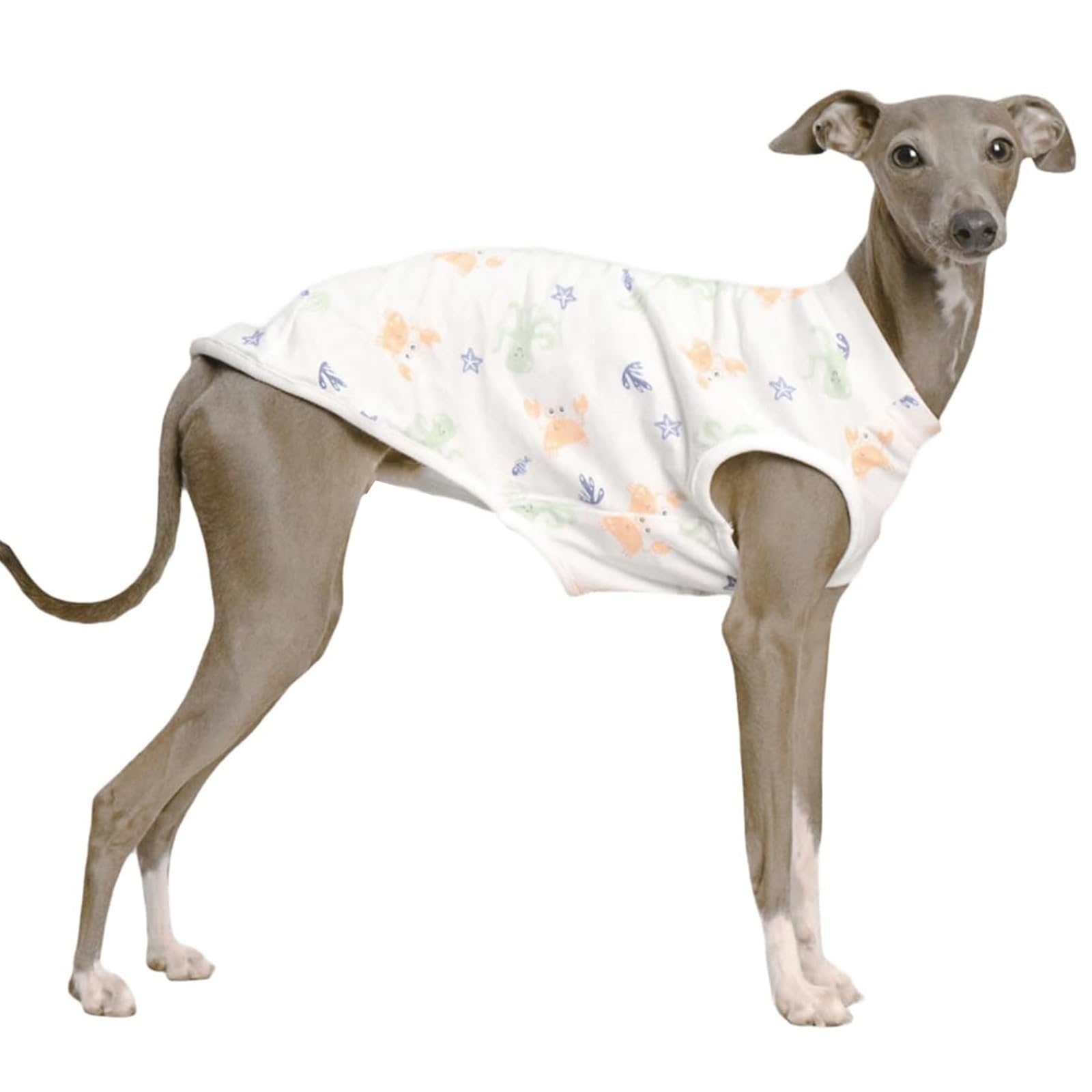 Breathable Cotton Dog Shirts for Italian Greyhound & Whippet, Summer Pet T-Shirts Printed Dogs Tank Tops Soft Lightweight Outdoor Dog Apparel(L)