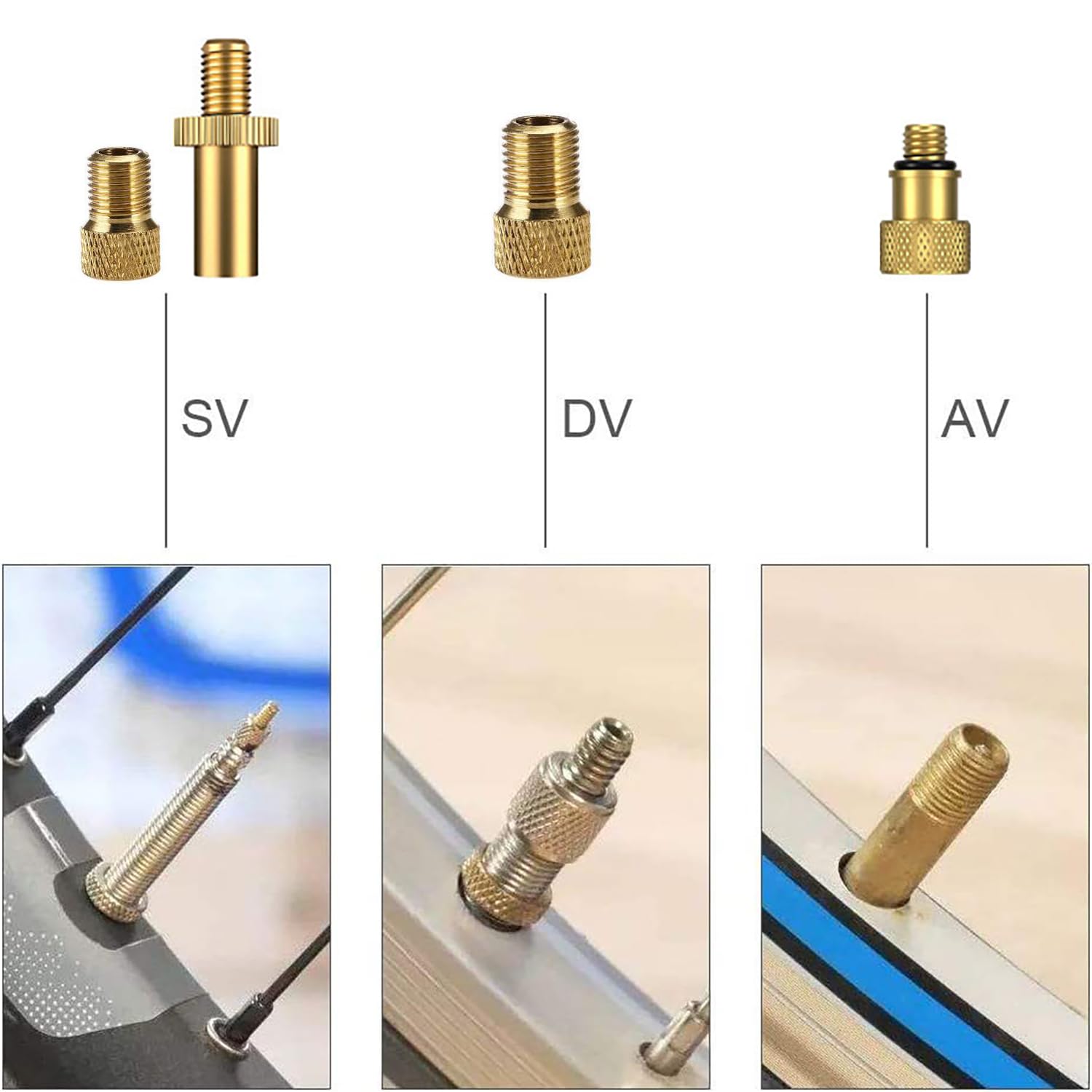 Kit D'adaptateur De Valve Pour Pompe à Vélo – 8 Adaptateurs DV/AV/SV + Aiguilles Et Bagues – Boîte De Rangement Incluse